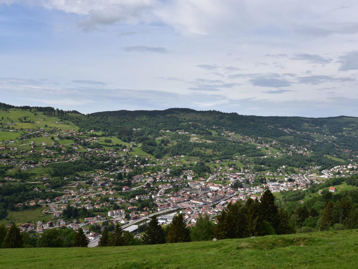 Beautiful Chalet In La Bresse With Sauna Villa Buitenkant foto